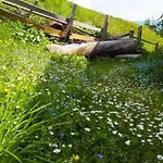 Almhuette Enzian By Interhome