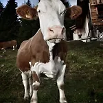 Almhuette Enzian By Interhome * 그레이펜버그