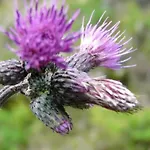 펜션 Almhuette Enzian By Interhome *