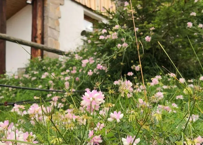 Almhuette Enzian By Interhome