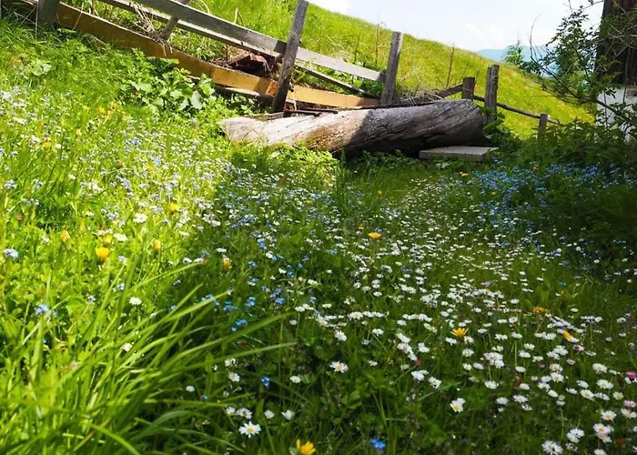 Almhuette Enzian By Interhome