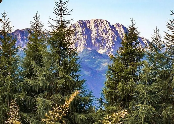 Ferienhaus Almhuette Enzian By Interhome *