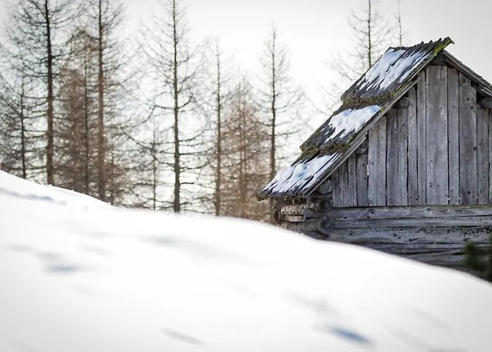 Almhuette Enzian By Interhome * Greifenburg