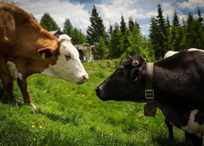 Almhuette Enzian By Interhome