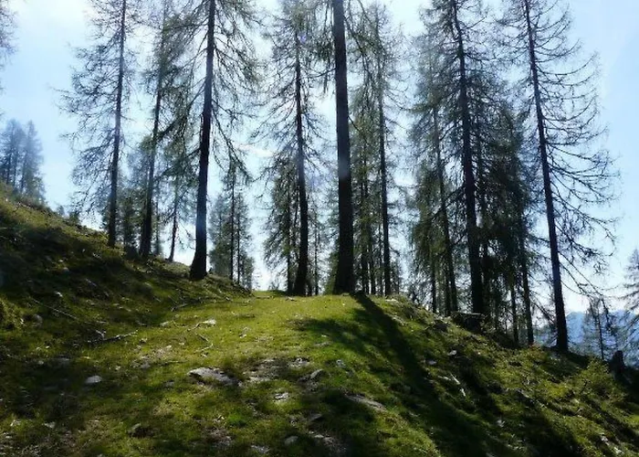 Almhuette Enzian By Interhome Ferienhaus *